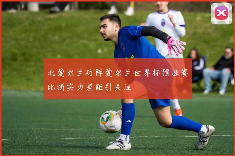 北爱尔兰对阵爱尔兰世界杯预选赛比拼实力差距引关注