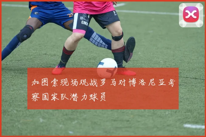 加图索现场观战罗马对博洛尼亚考察国家队潜力球员