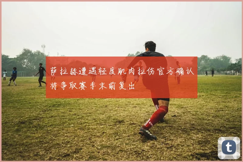 萨拉赫遭遇轻度肌肉拉伤官方确认将争取赛季末前复出