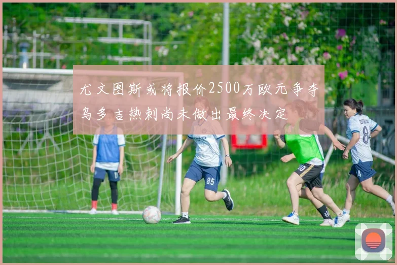 尤文图斯或将报价2500万欧元争夺乌多吉热刺尚未做出最终决定